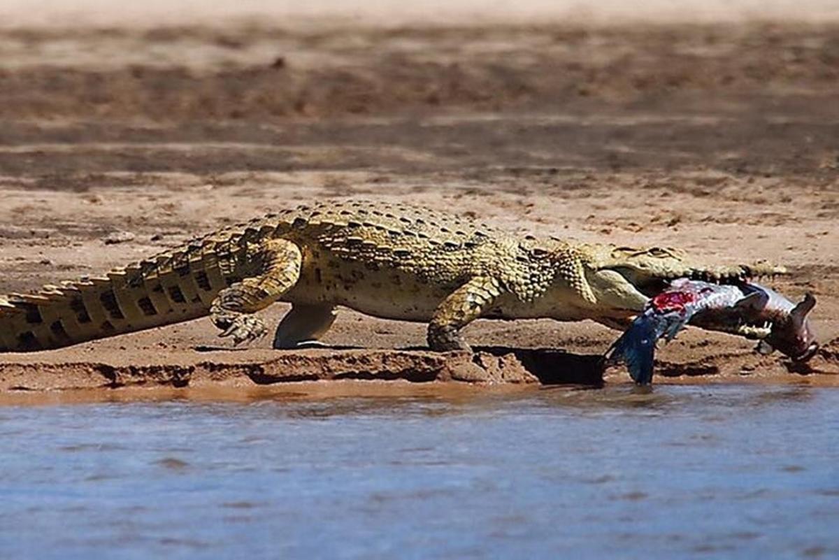 Foto 2 da atração