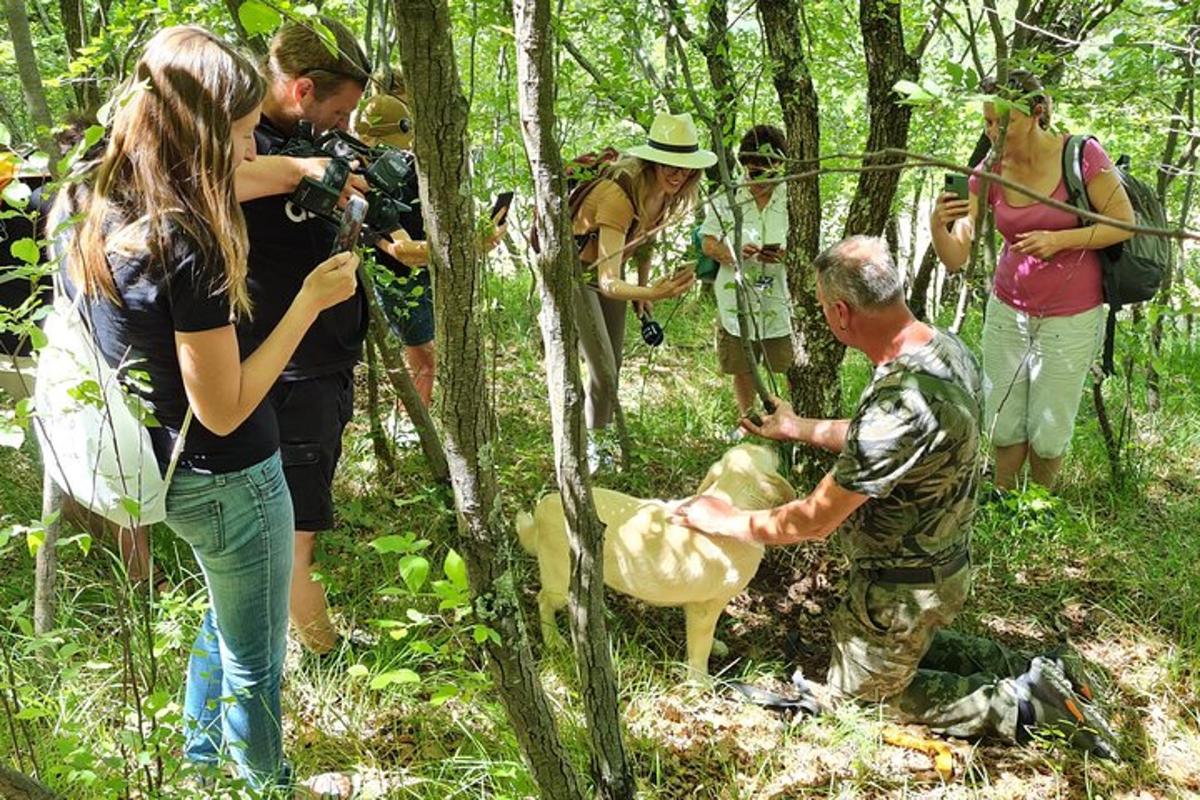 Fotografia atrakcie č. 1