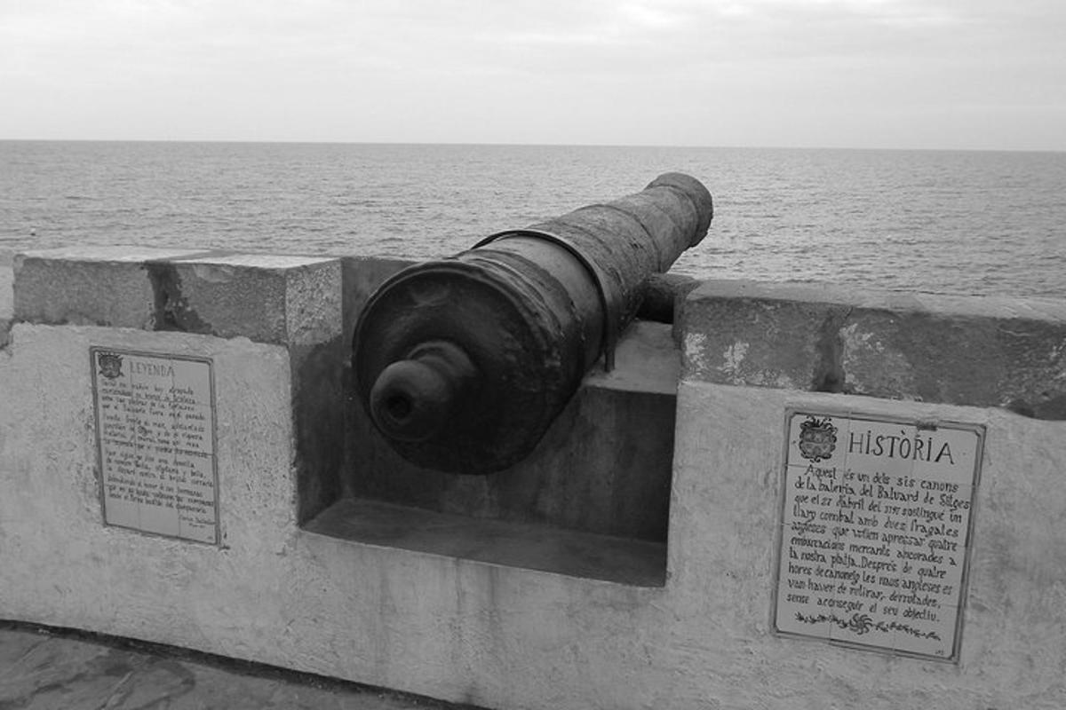 un cañón en una pared junto al océano