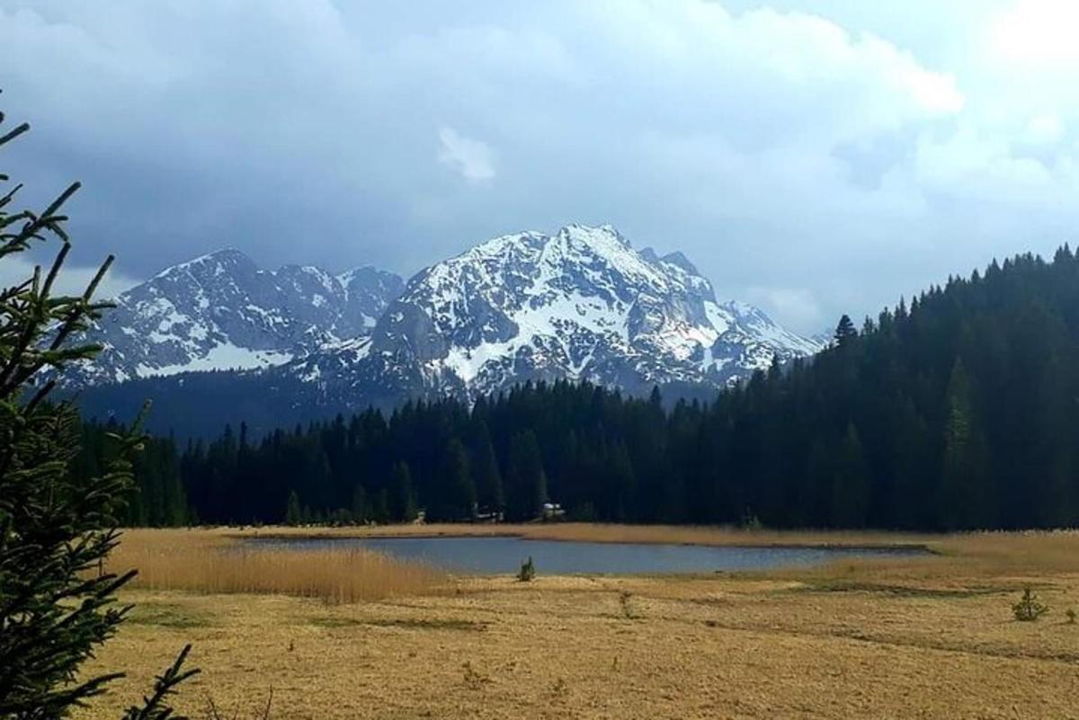 a snow covered mountain in the distance with a lake