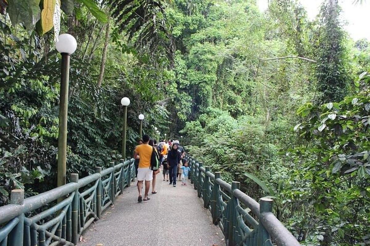 Foto 4 de l'atracció turística