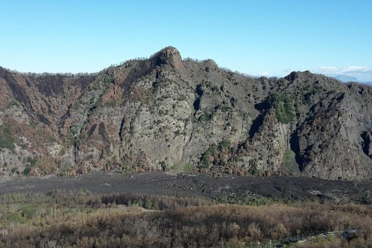 скеляста гора з деревами перед нею