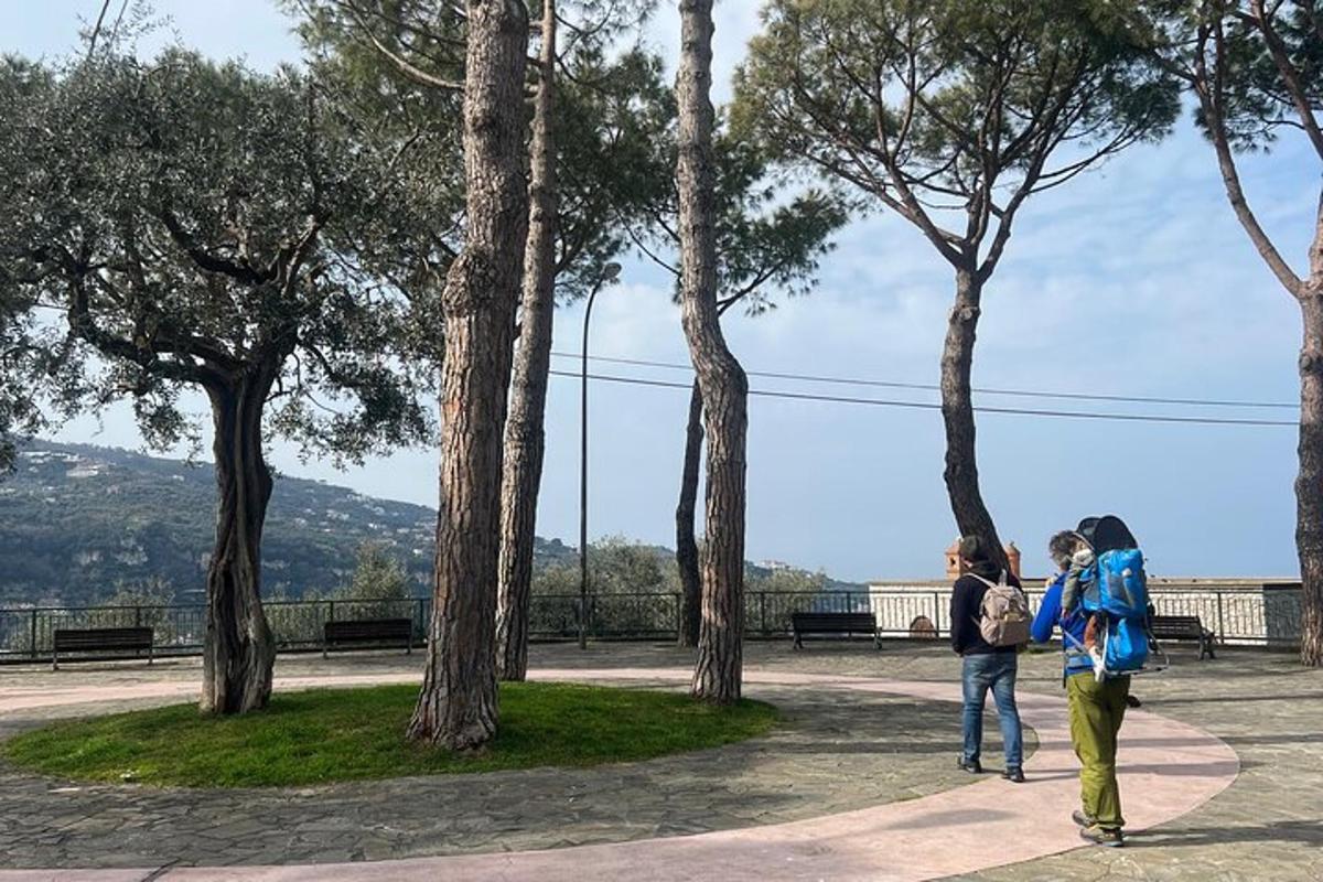 un gruppo di persone che camminano in un parco con alberi