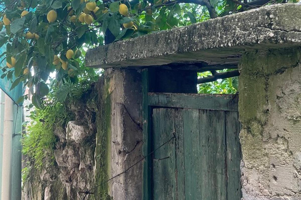 una vecchia porta di legno in un muro di pietra con un albero