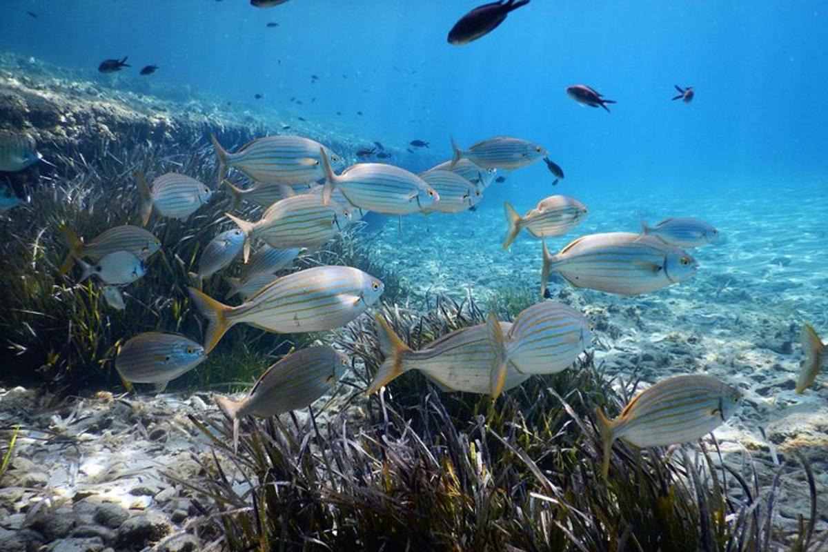 Lankytinos vietos ar pramogos nuotrauka numeris 4