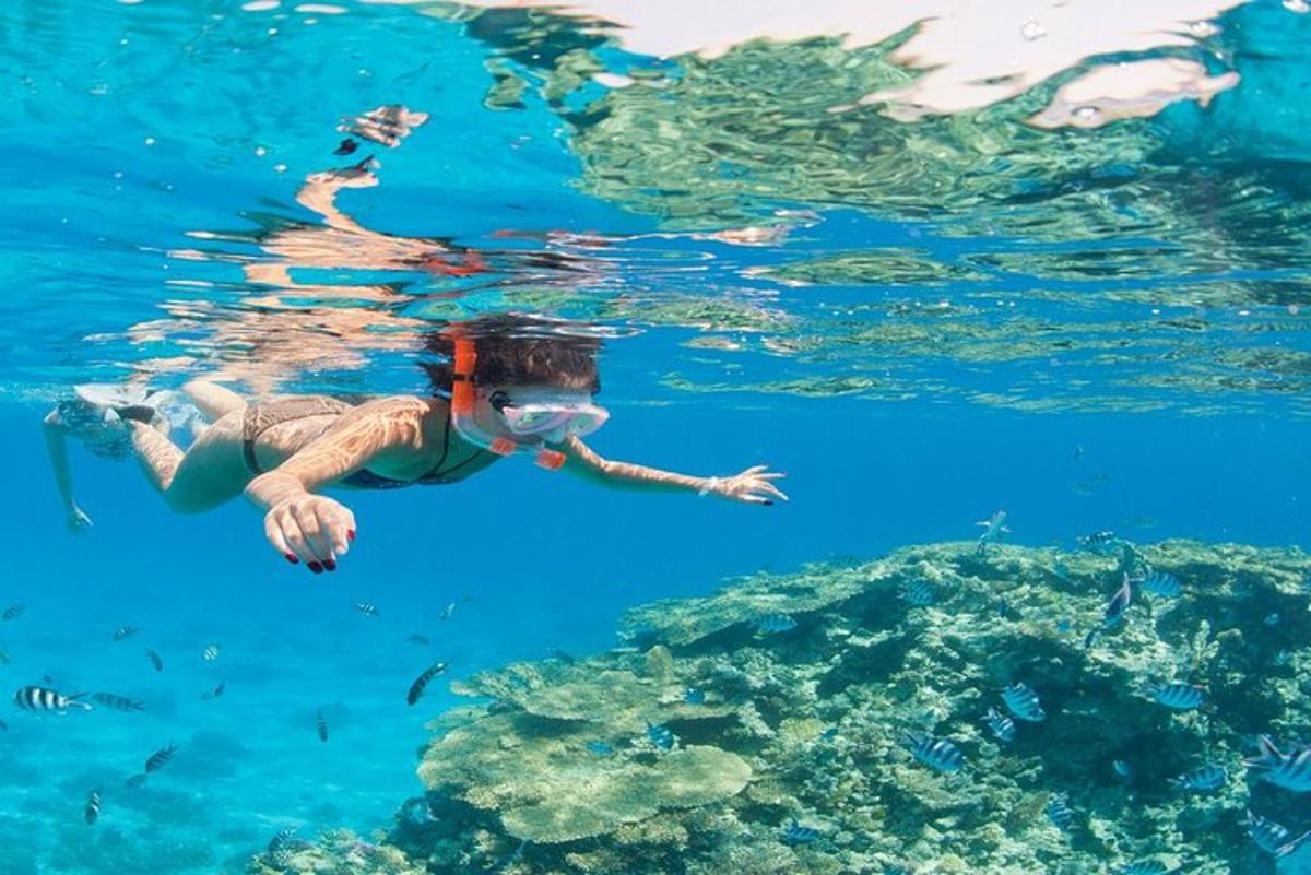 una persona nadando en el agua cerca de un arrecife