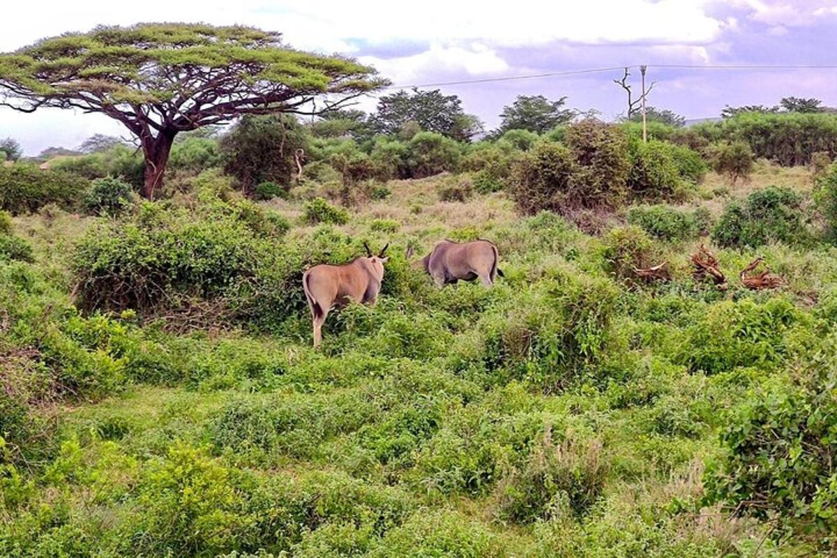 5 foto atraksi wisata