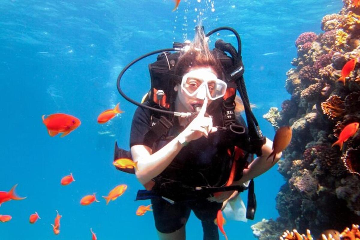 uma mulher com equipamento de mergulho no oceano
