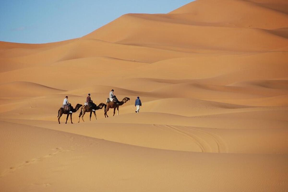 un gruppo di persone a cavallo nel deserto