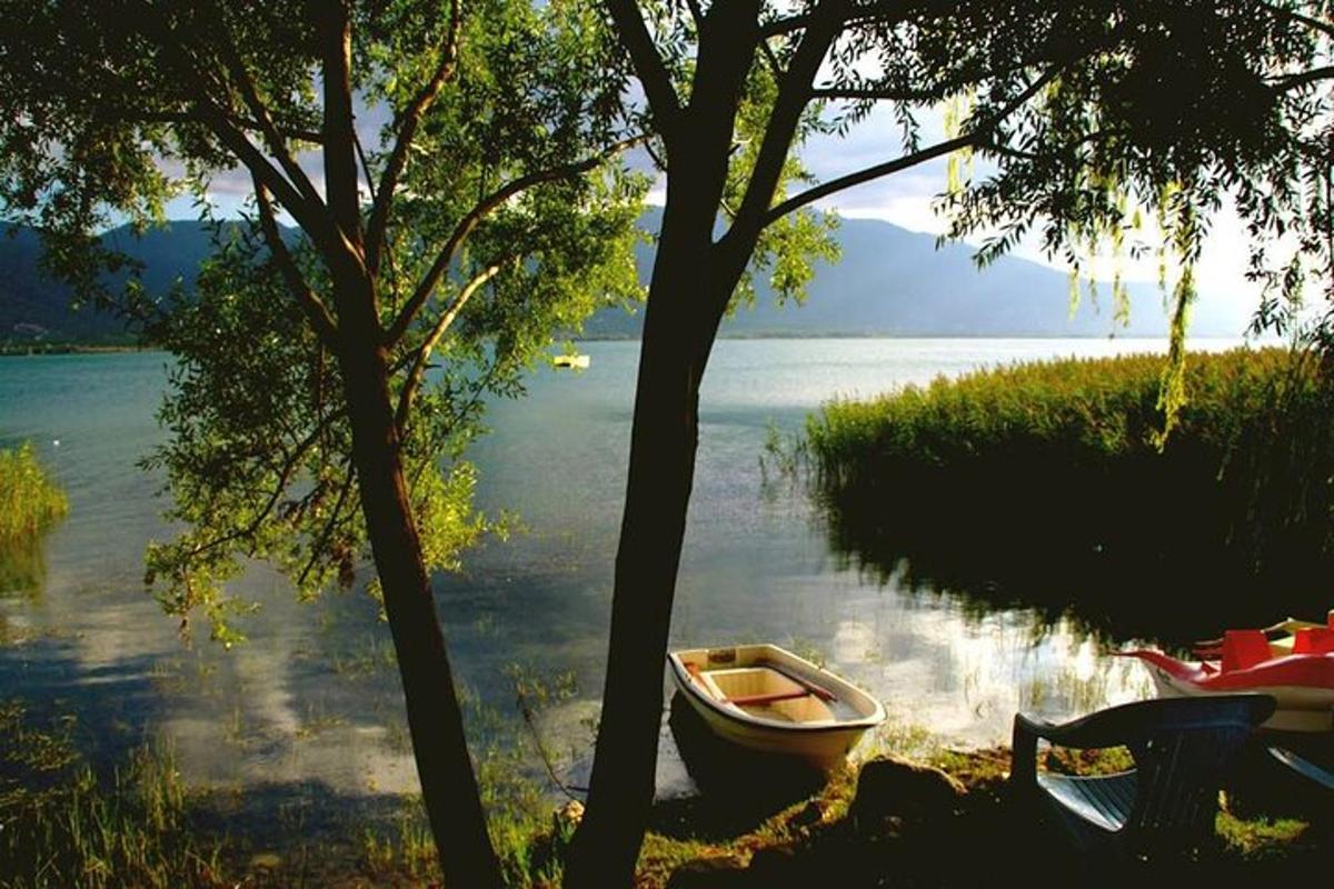una barca seduta sulla riva di un lago