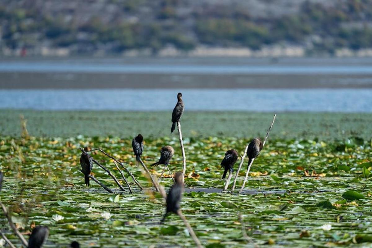 Fotografia da atração 4