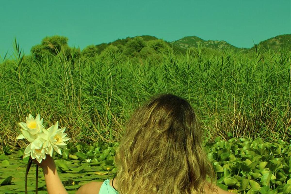 Fotografia da atração 7