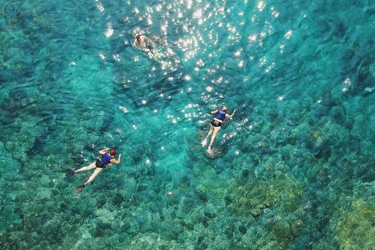 dues persones nedant a l'aigua de l'oceà