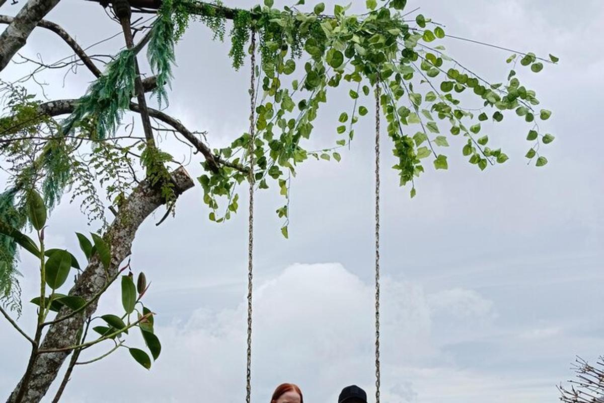 un gronxador penjat d'un arbre