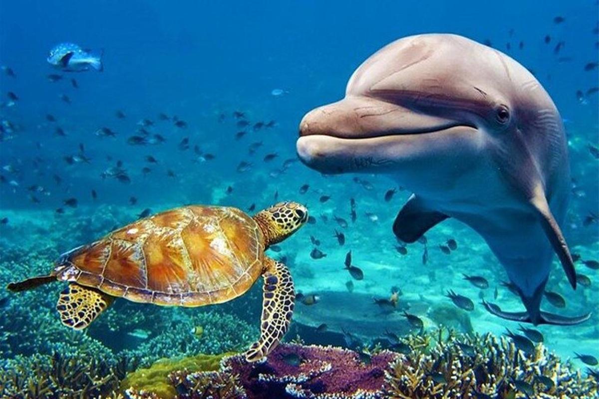 Attraction picture 1