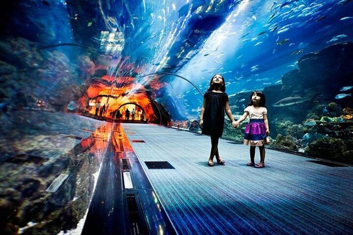 Attraction picture 4