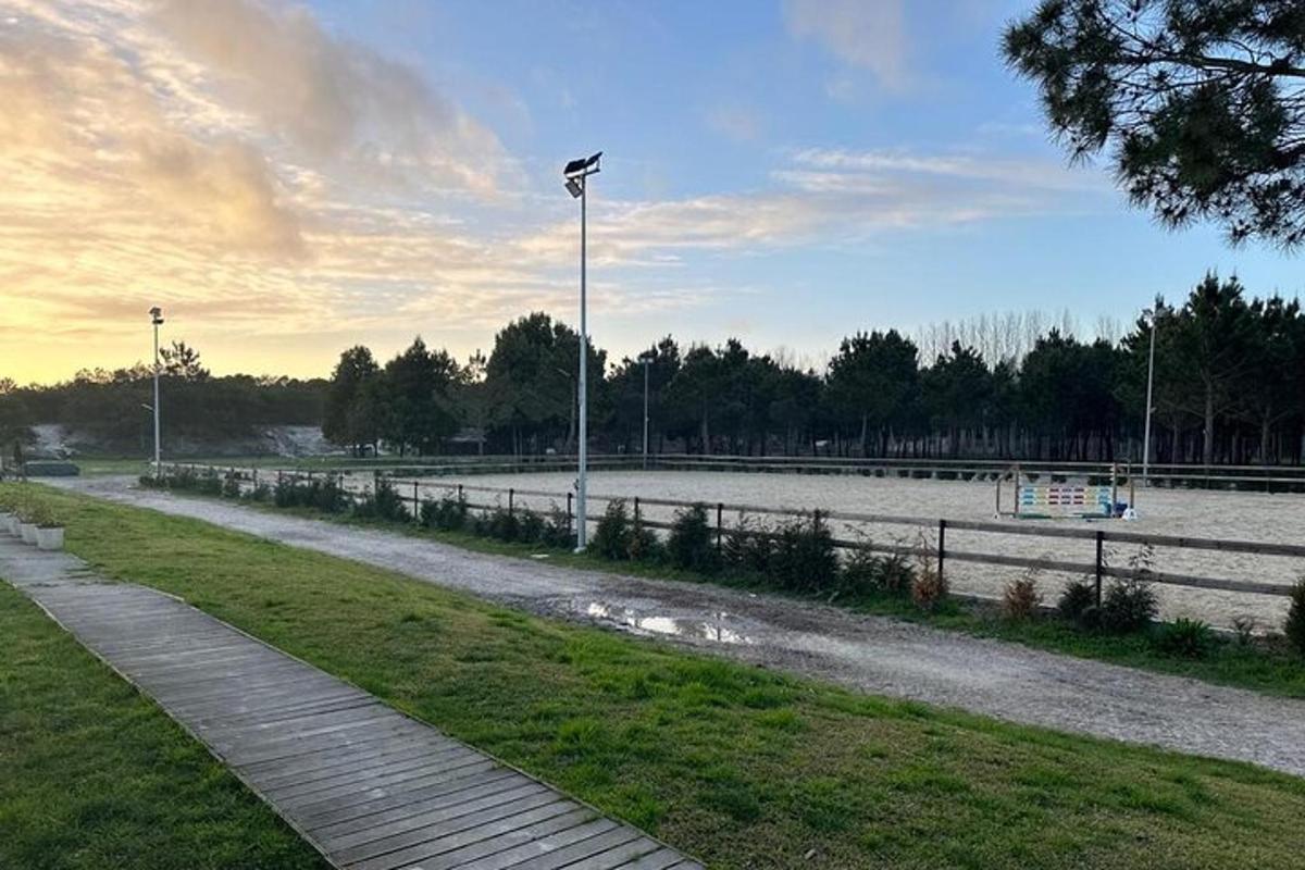 ein Park mit Straßenlaterne und Wasserfläche