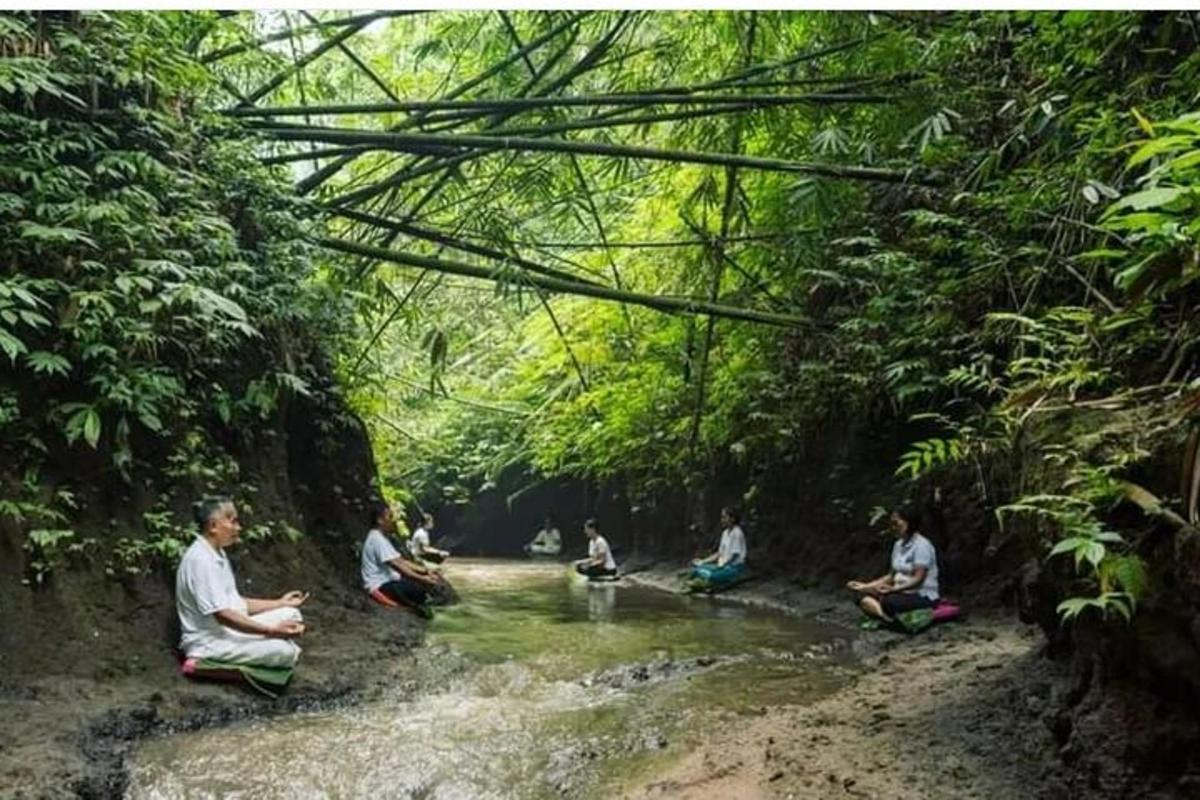 a group of people sitting in a stream in a forest