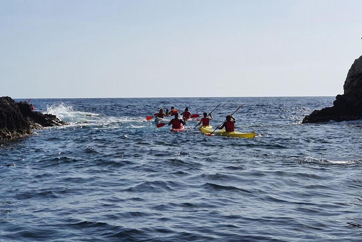 un grup de persones en caiacs a l'oceà