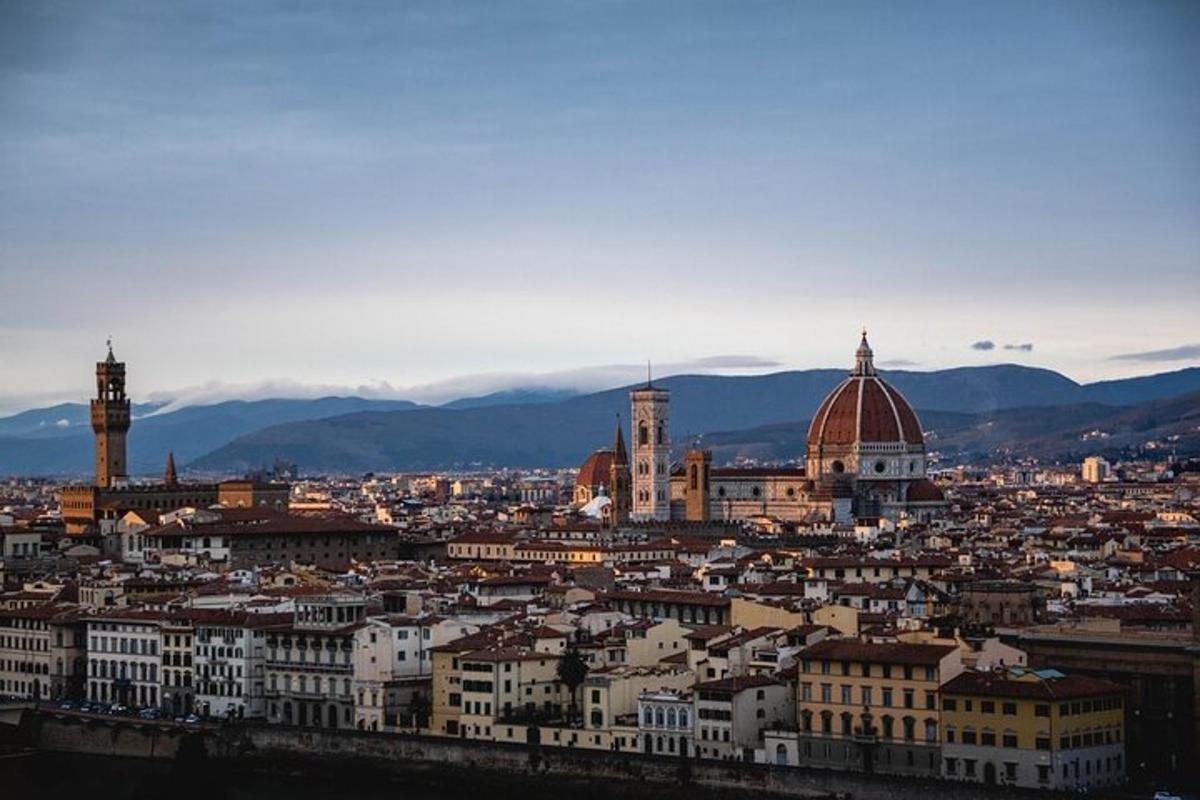 una vista di una città con edifici e montagne