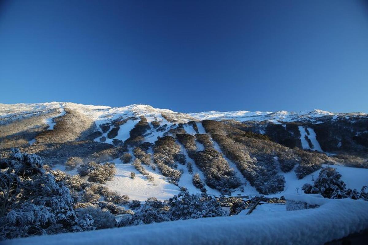 Una vista de una montaña nevada con nieve encima.