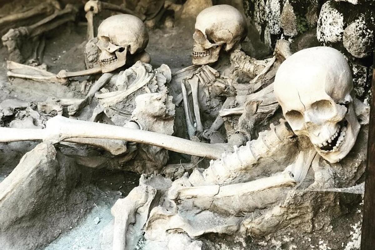 a group of skeletons laying on the ground