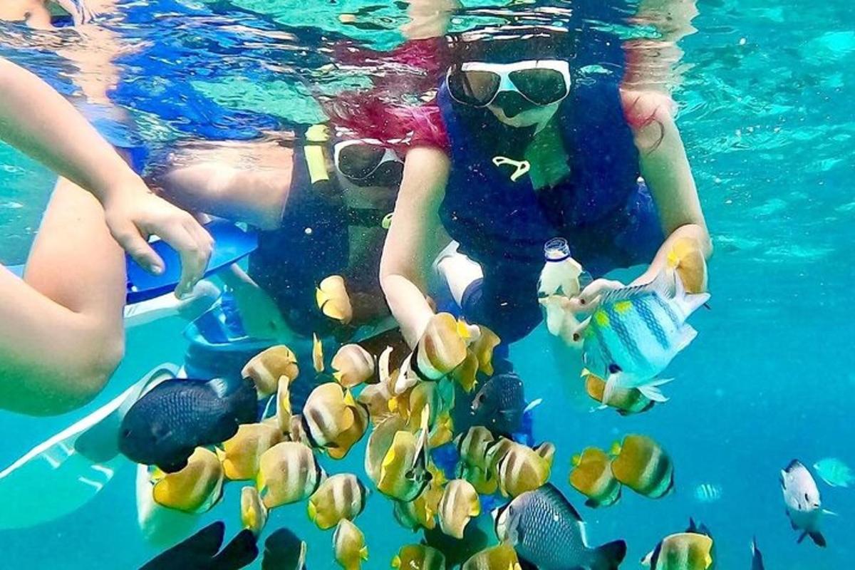 hai người dưới nước với một đàn cá