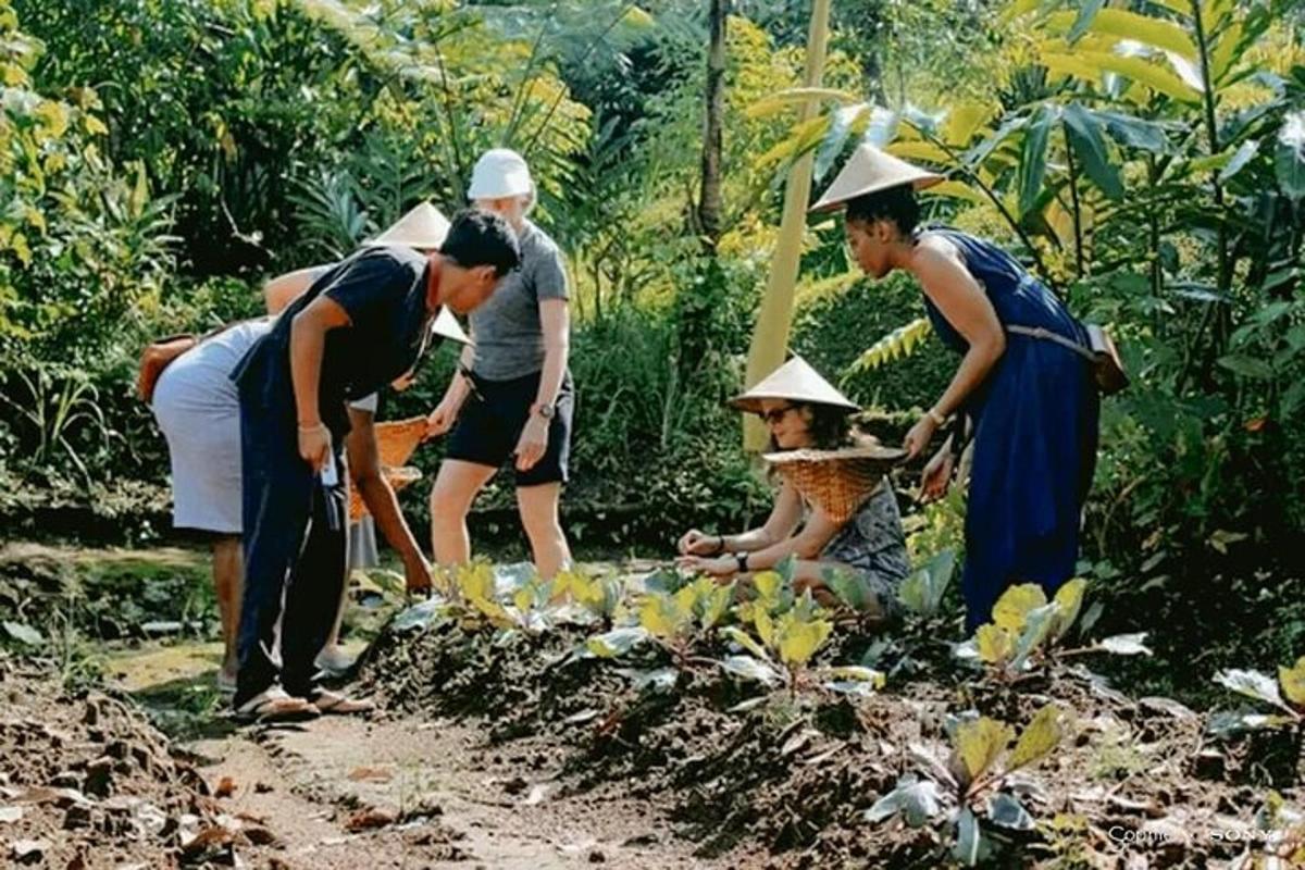 un grupo de personas trabajando en un jardín