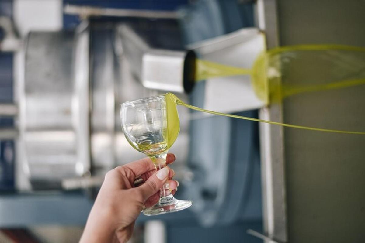 una persona sostiene una copa de vino