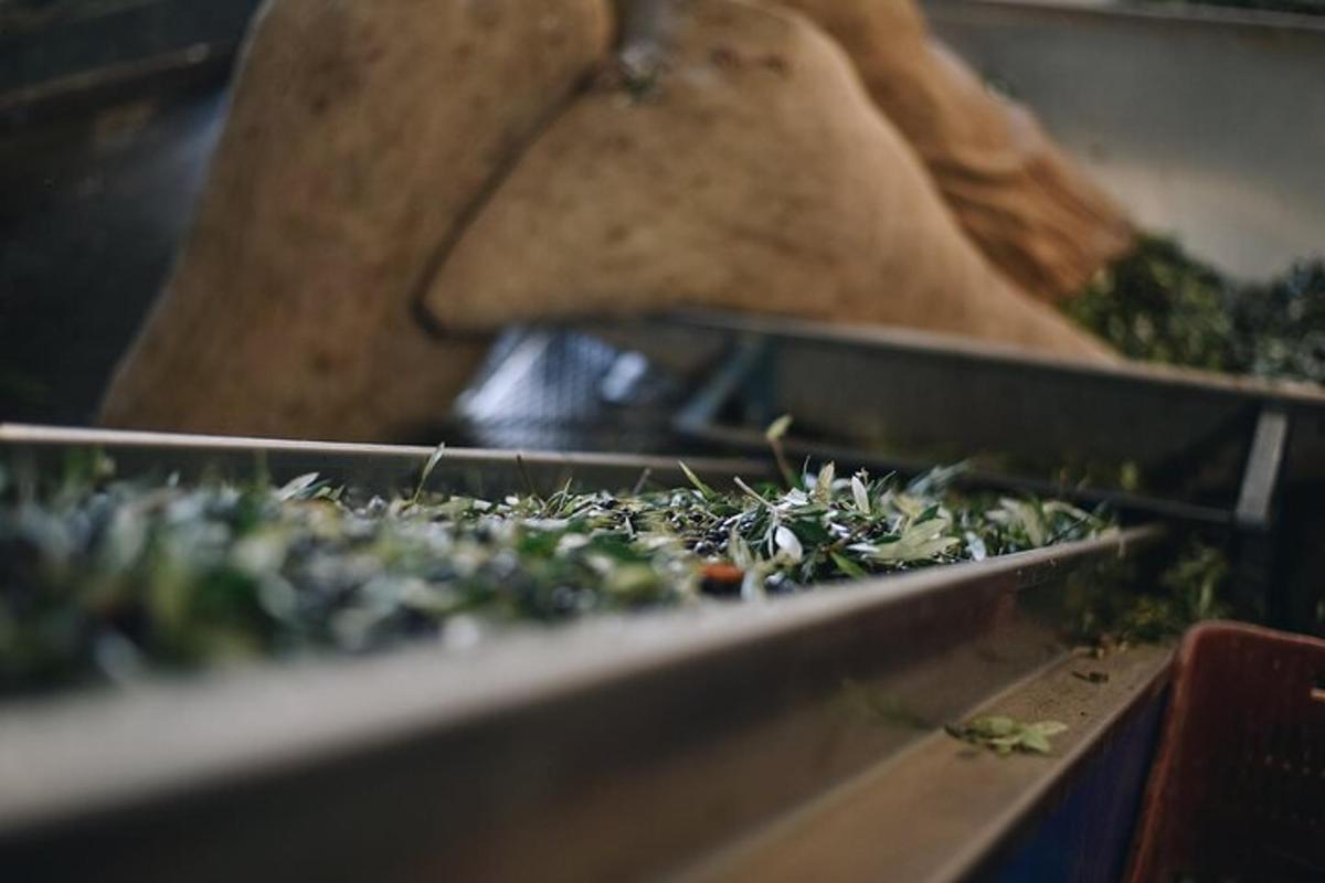 Un primer plano de algunos alimentos en una cinta transportadora.