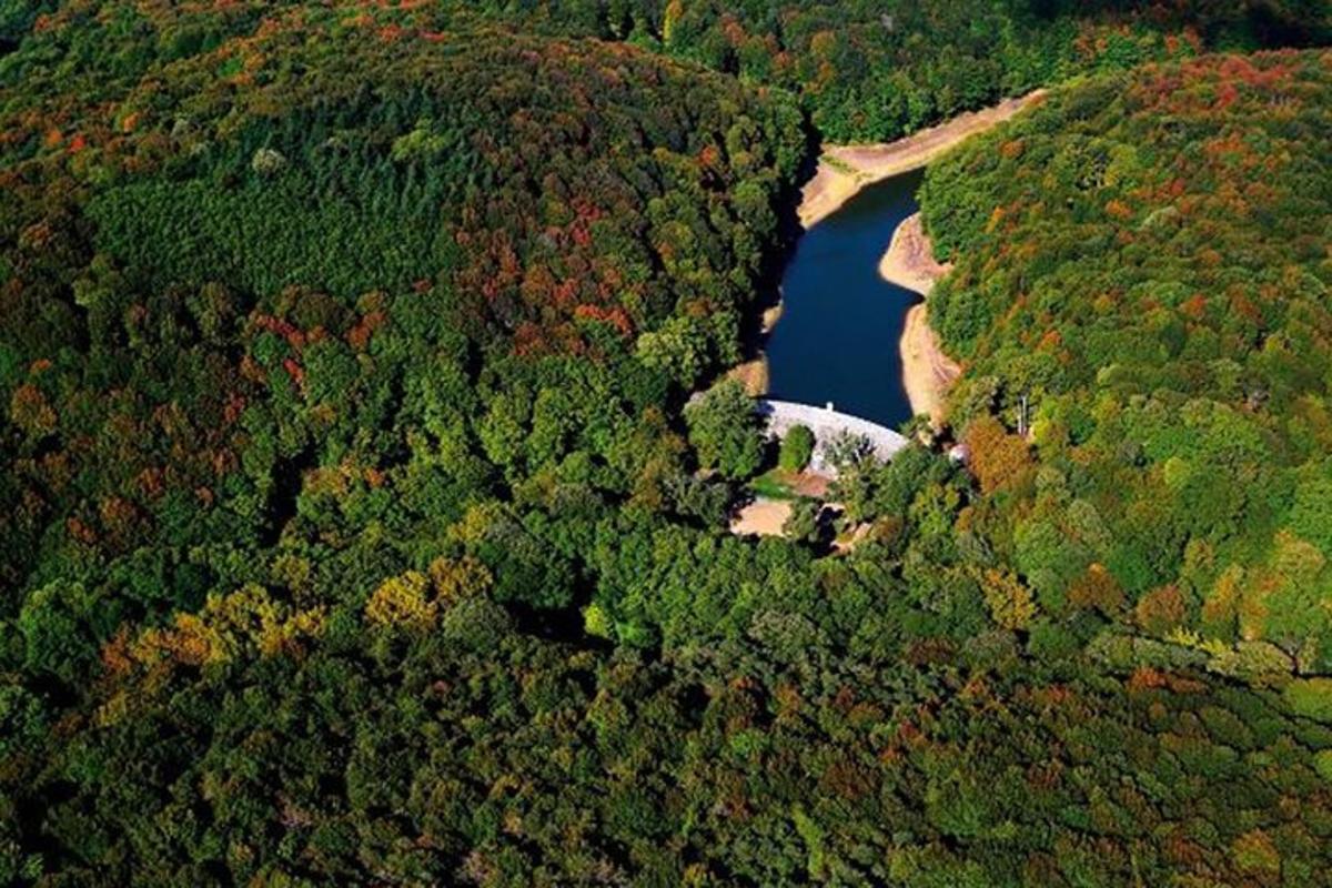 Letecký pohled na jezero uprostřed lesa