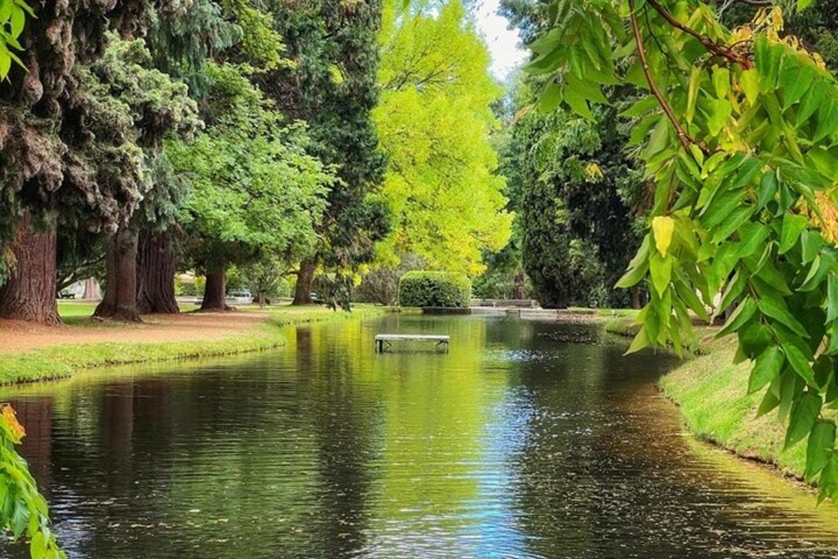 un banc al mig d'un estany en un parc