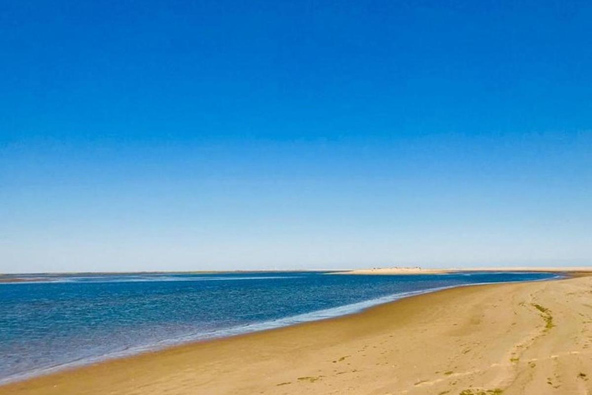 ein Strand mit blauem Himmel und dem Meer