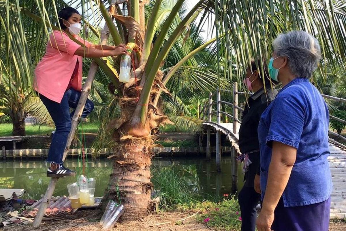 Una mujer está parada en una palmera con una niña.