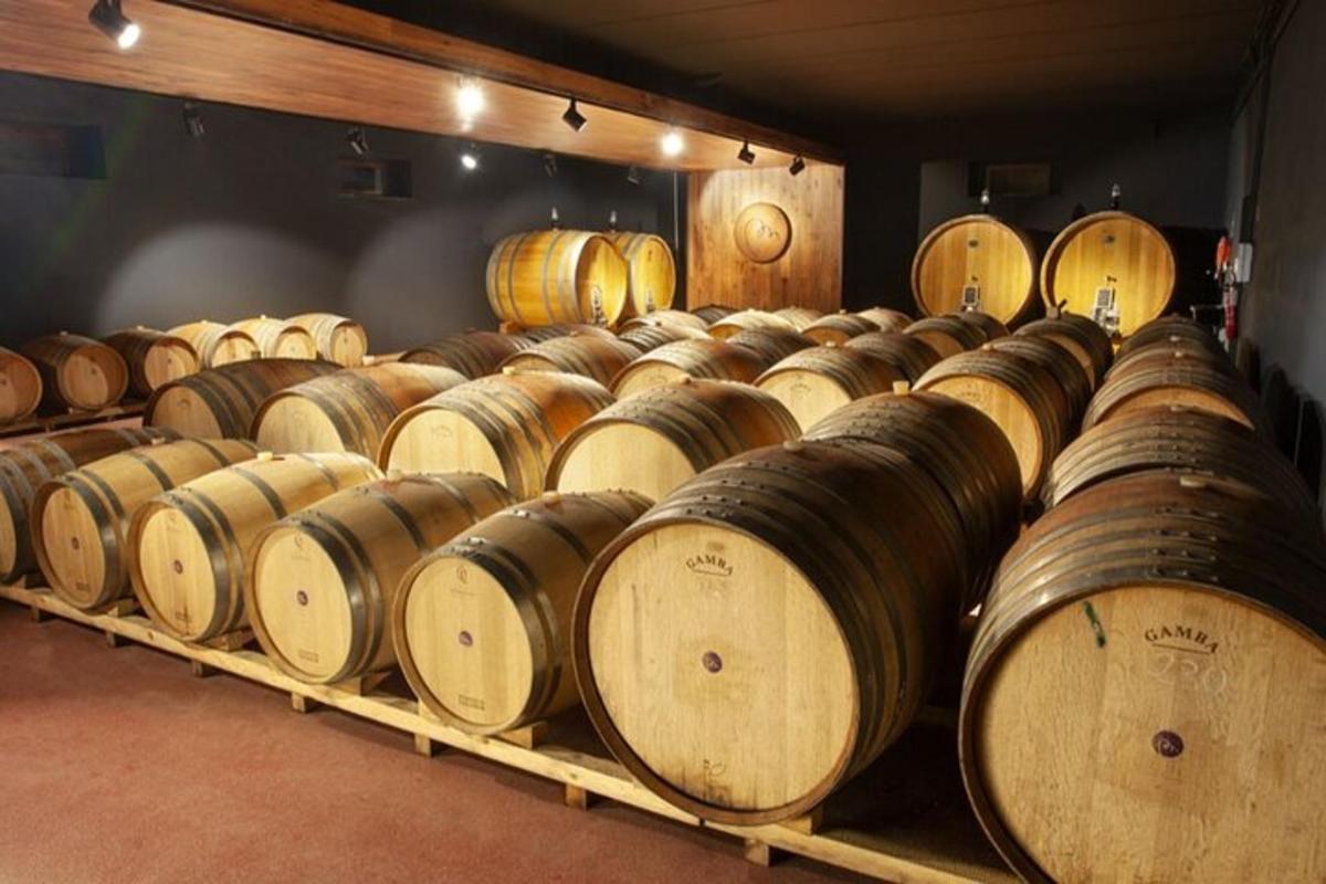 isang hilera ng mga bariles ng alak sa isang cellar