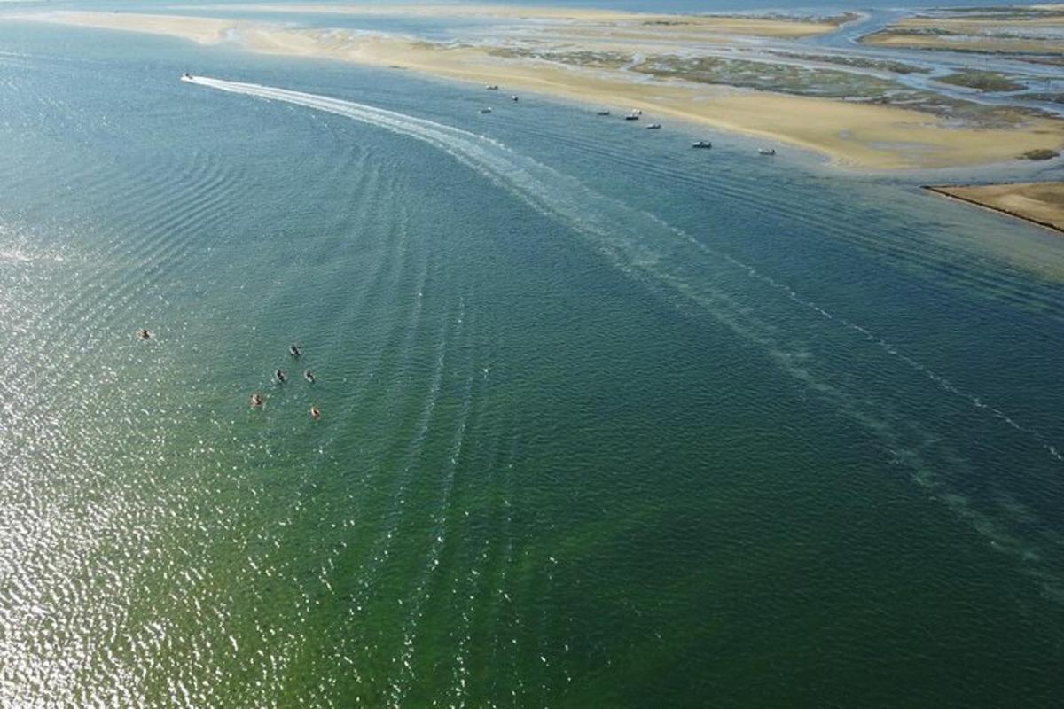 Un grupo de personas nadando en el agua cerca de una playa.