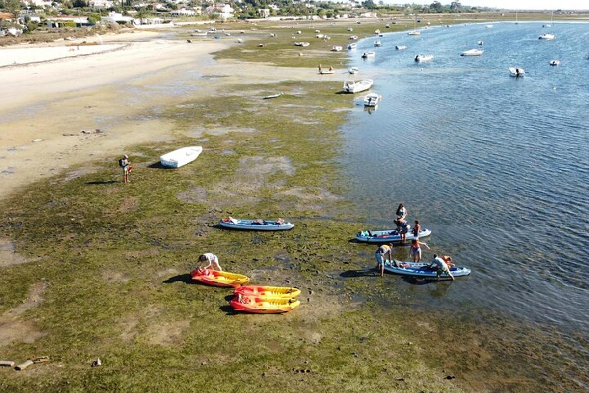 Un grupo de personas en una playa con barcos en el agua.