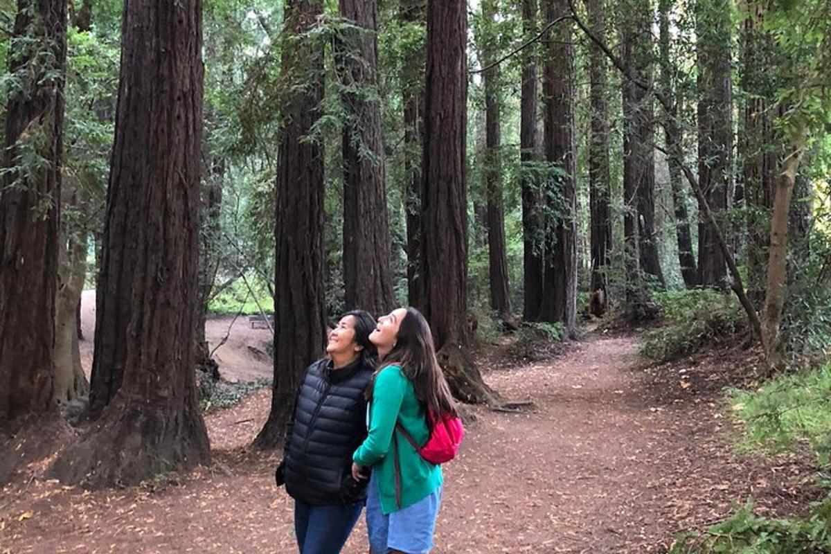 Dos personas besándose en un sendero en el bosque