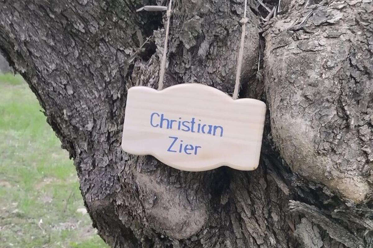 puu otsas silt, millel on kiri "kristlik elu"