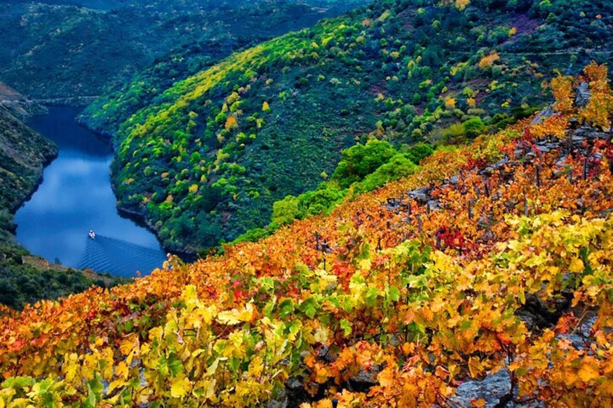 o priveliște de toamnă a unui munte cu un râu