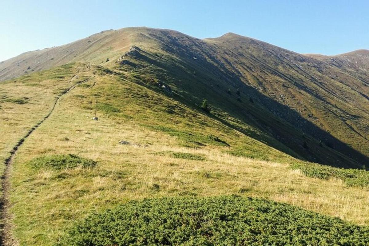 Lankytinos vietos ar pramogos nuotrauka numeris 5