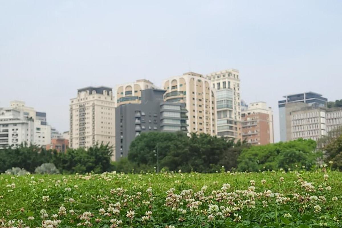 a field of flowers in front of a city