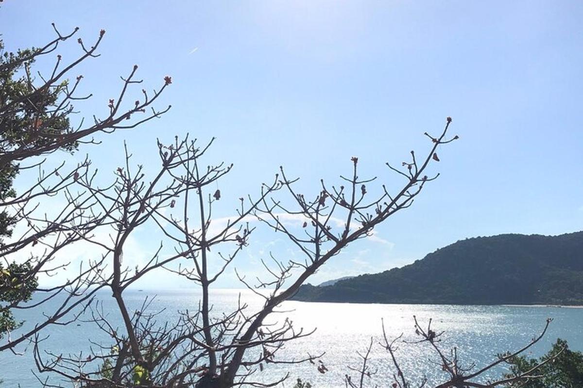 una vista di uno specchio d'acqua con un albero