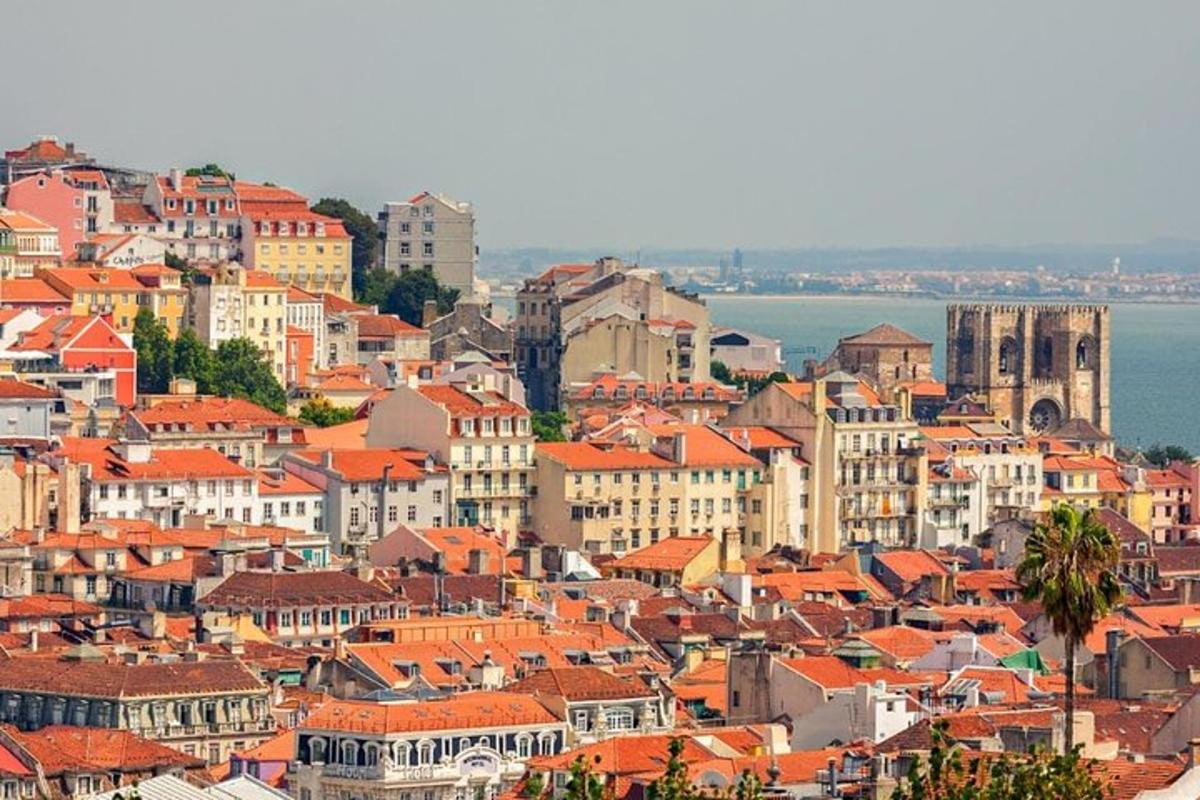 veliko mesto z oranžnimi strehami in stavbami