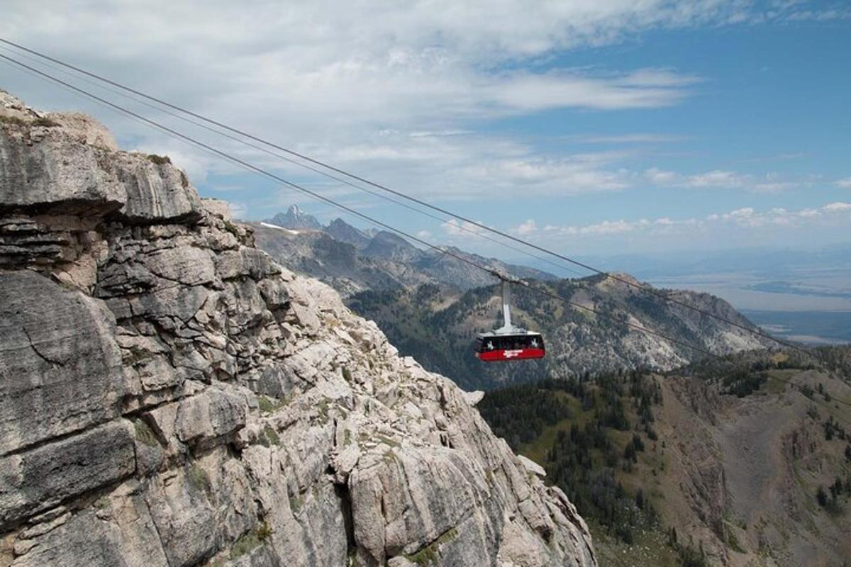 Photo de l’attraction numéro 1.