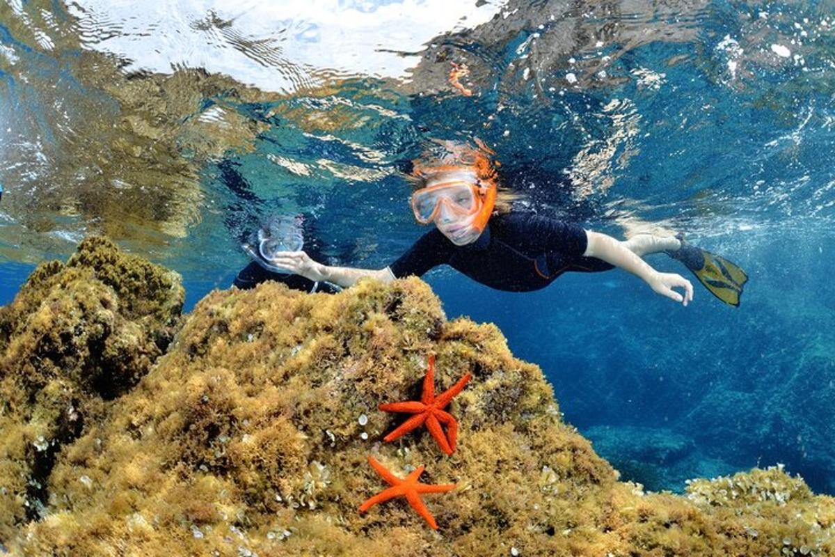 a woman is swimming in the water near starfish