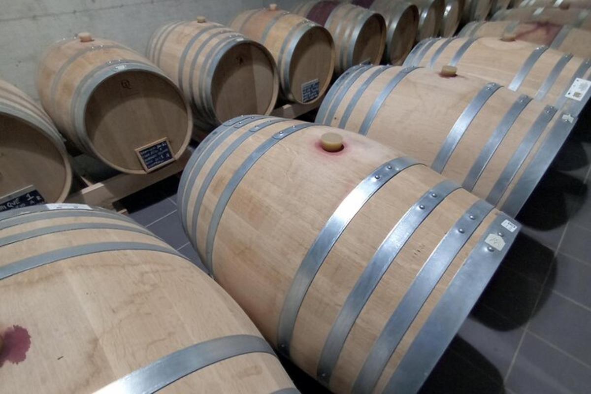 una fila di botti di legno in una stanza