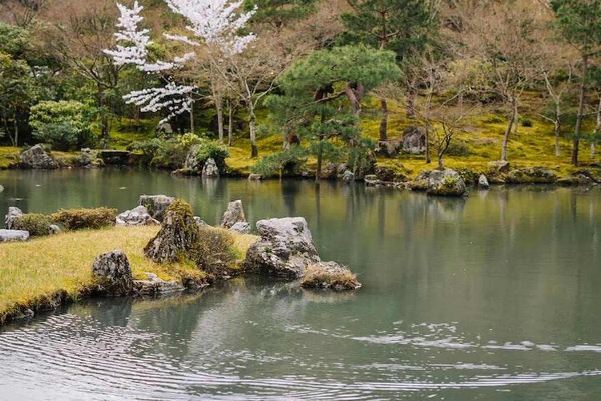 um lago em um parque com pedras e árvores