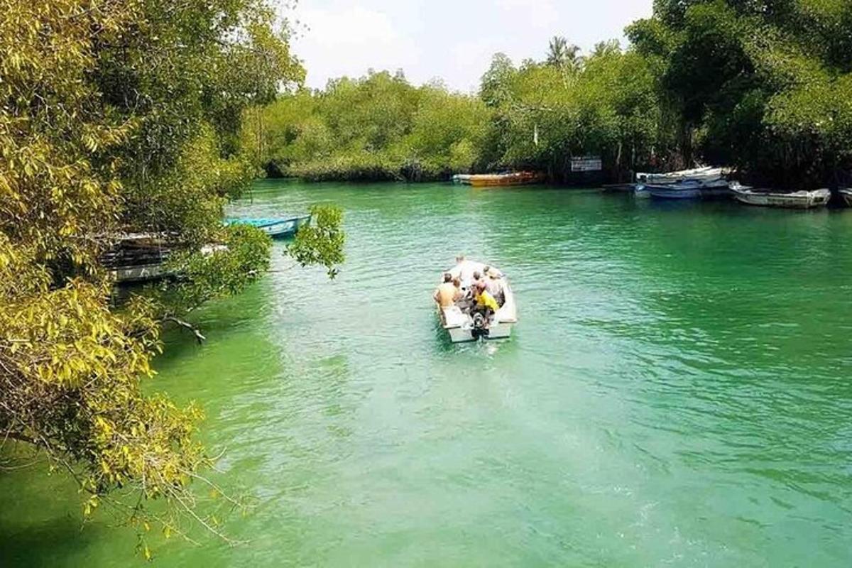 Φωτογραφία αξιοθέατου 6