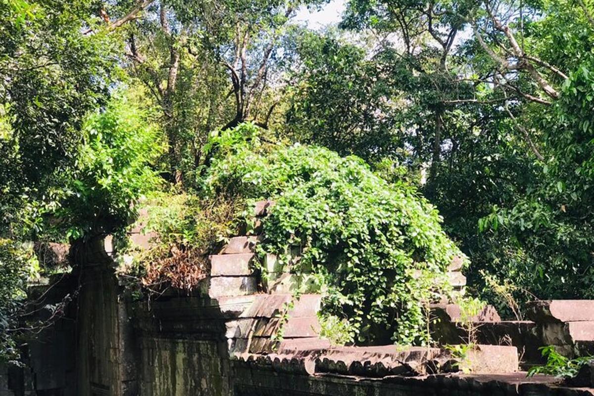 a bush on top of a stone wall with trees